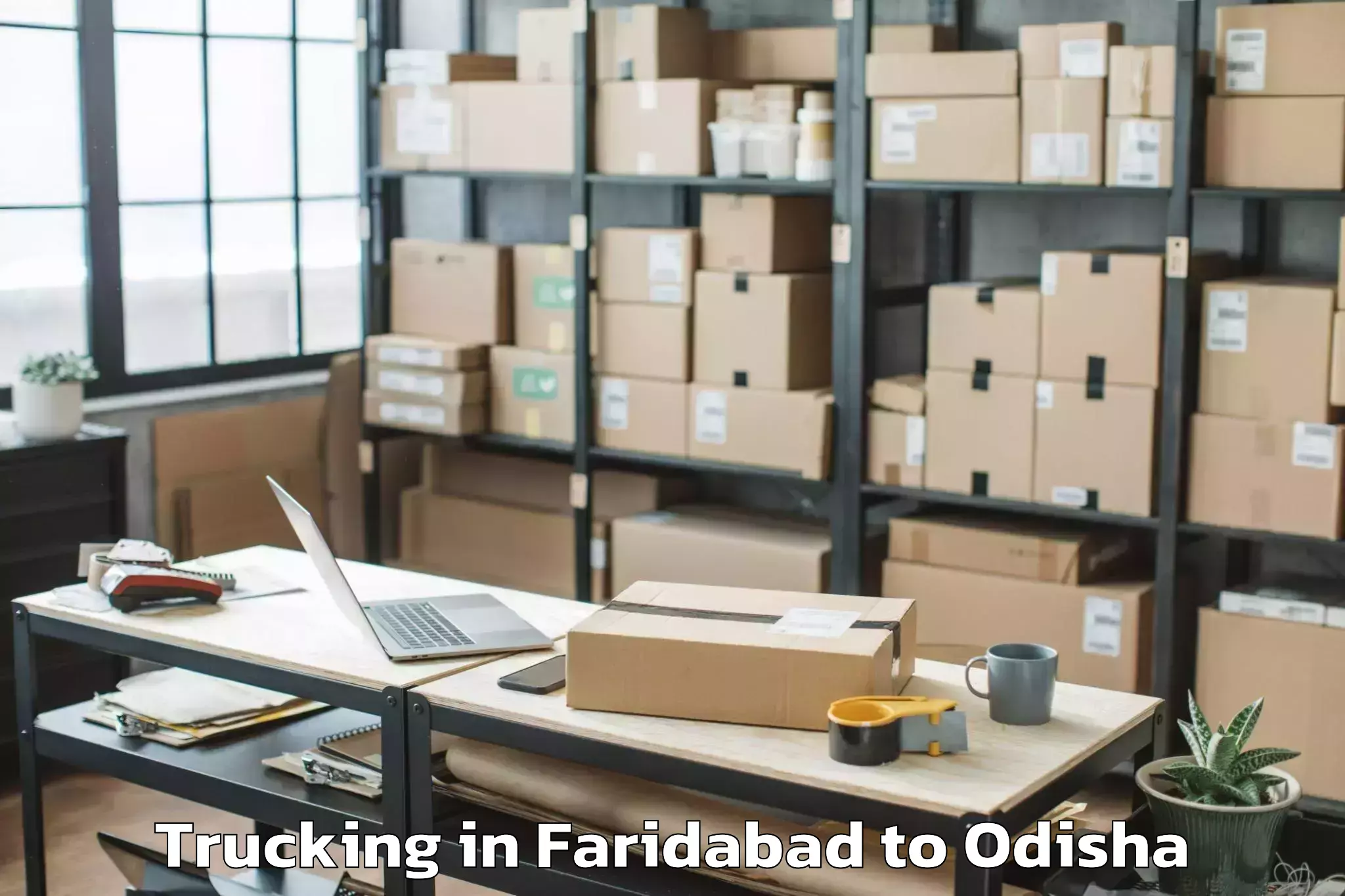 Professional Faridabad to Mahulapada Trucking